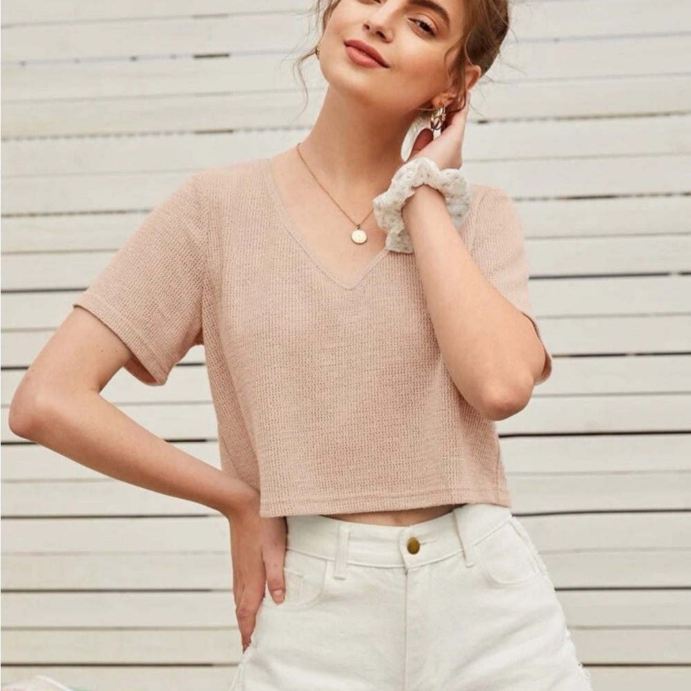 SHEIN Ezwear V neck Crop top tee